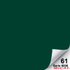 6067/ Vinilo Color Dark Green 0.61m Xml