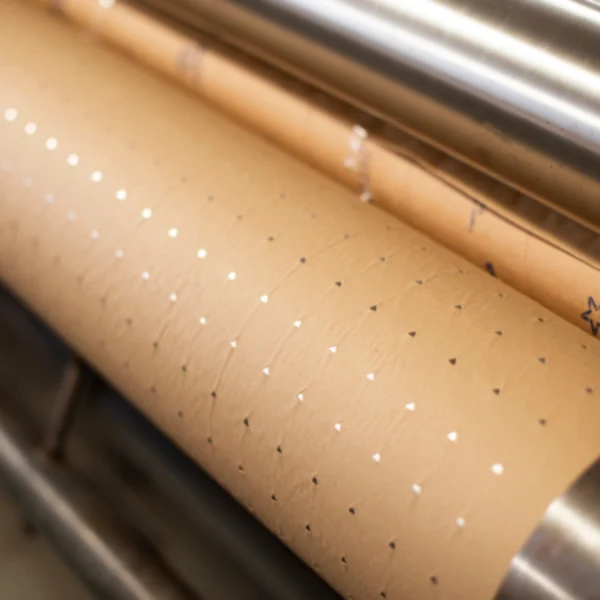 8927/ Robot Corte Papel Perforado 60g P515 2,00 X 250m Xrl