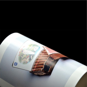 Papel Fotografico Rc Satin 260Gr @Dye 0.60X30M Xrl