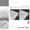 Decor Marmore Calacatta Oro Brilho 1,22x25m