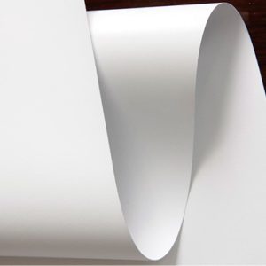 Pwp/ Lona Backlit Brillo 440g 3.20 X 50m Xrl